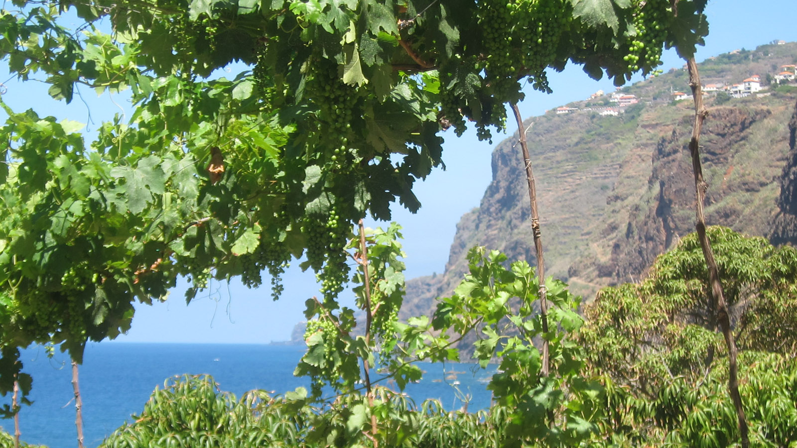 New Fireworks for an Historic Vineyard